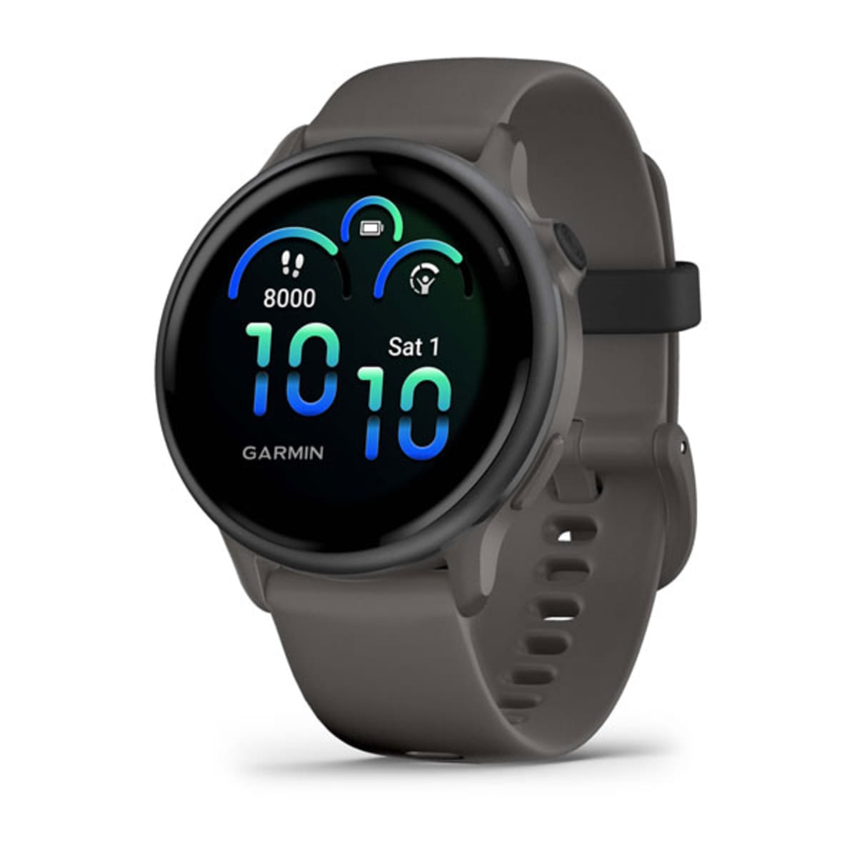Часы Garmin Vivoactive 6 Slate/Pebble Gray
